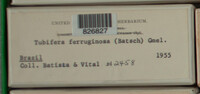 Image Associated With the Occurence
